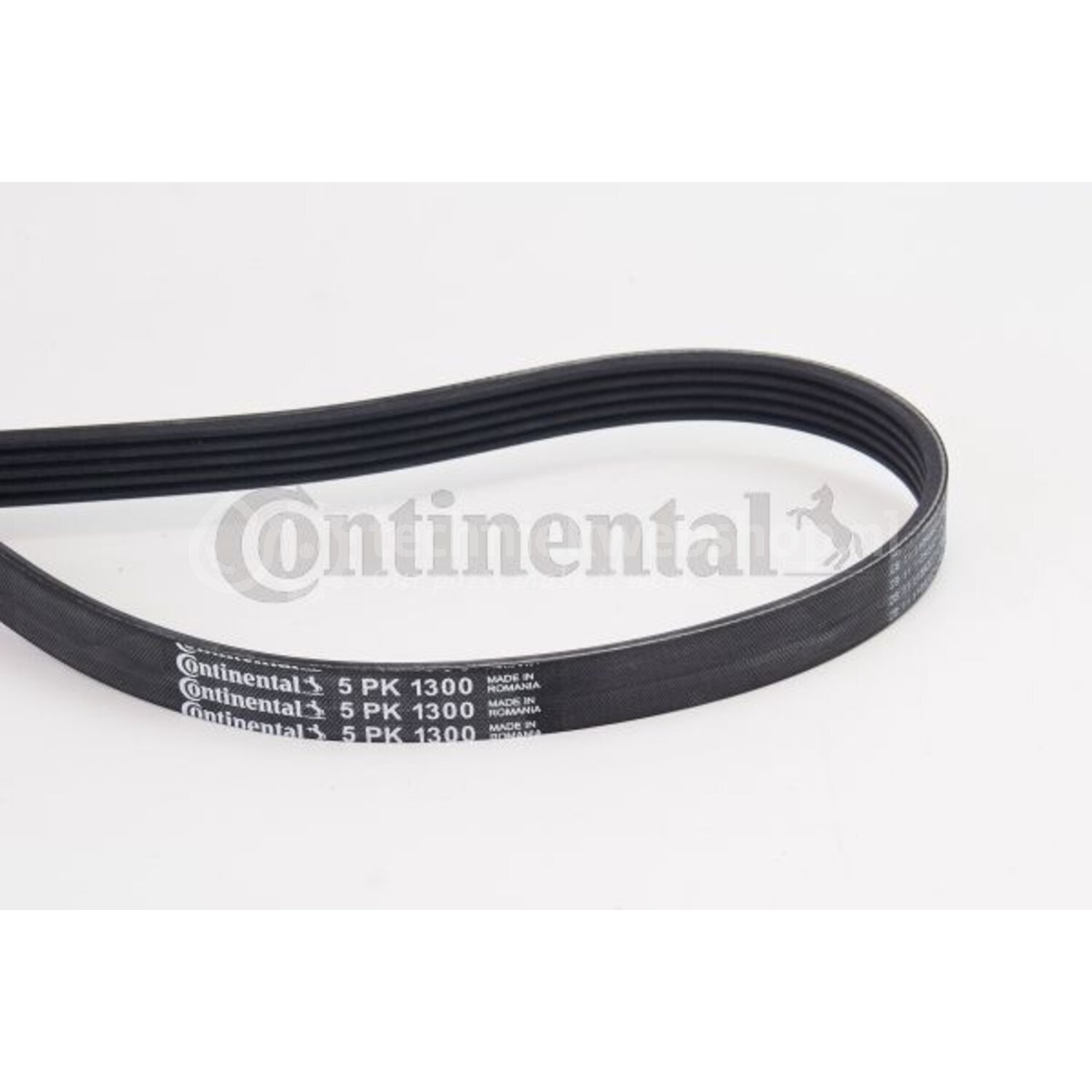 CONTINENTAL CTAM Poly V-riem voor o.a. Audi, Vw, Mercedes-Benz ...