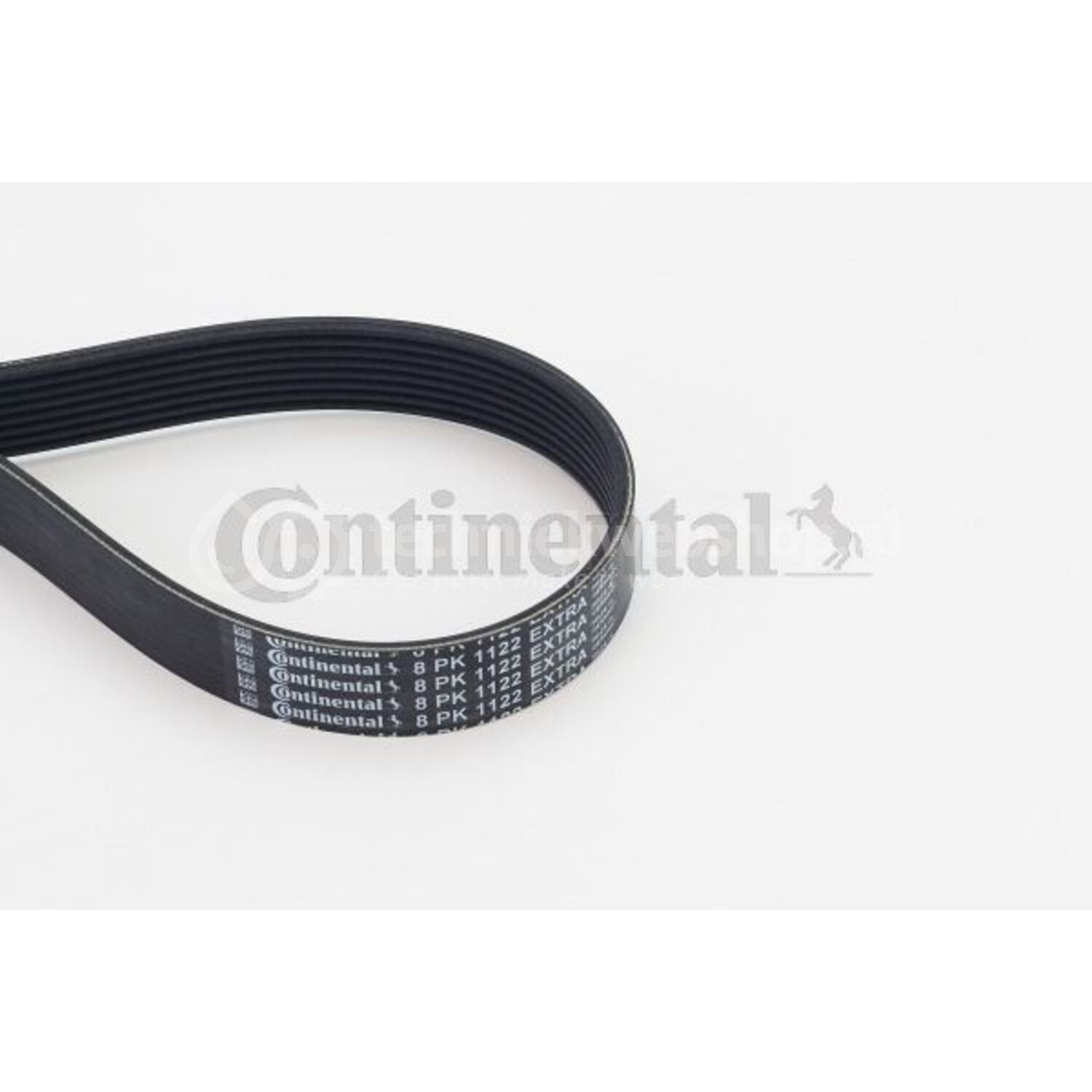 CONTINENTAL CTAM Poly V-riem voor o.a. Bmw - 8PK1122 EXTRA ...