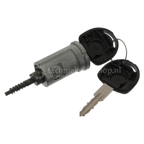 Febi Bilstein 38032 Contactslot Met Sleutel – OEM-kwaliteit, Geschikt Voor EVOBUS, MAN, Mercedes En Setra