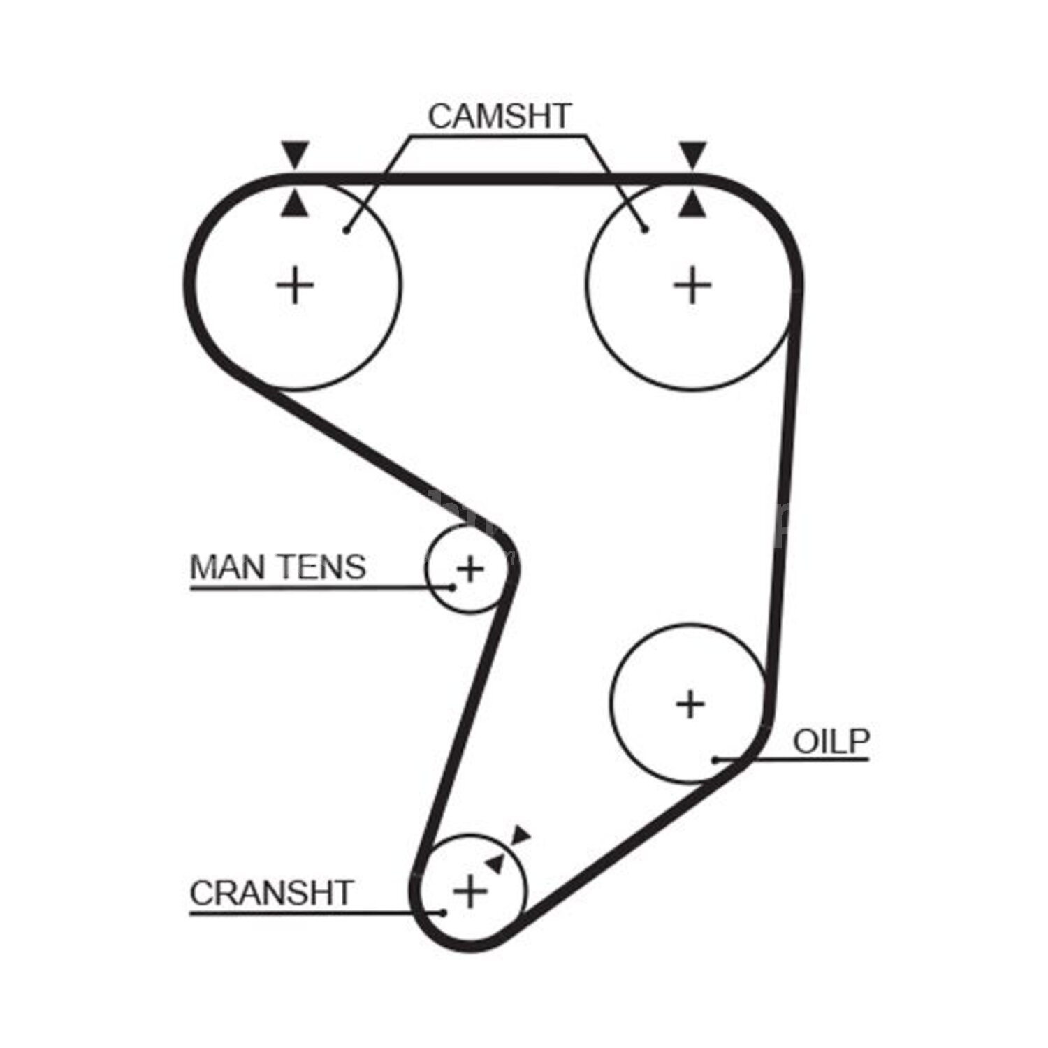 Gates Getande riem voor o.a. Toyota, Lotus, Isuzu, Dana - T237RB ...