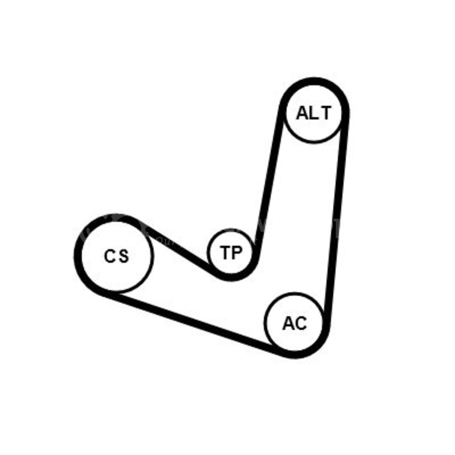 CONTINENTAL CTAM Poly V-riem set voor o.a. Ford - 6PK1244K2 ...