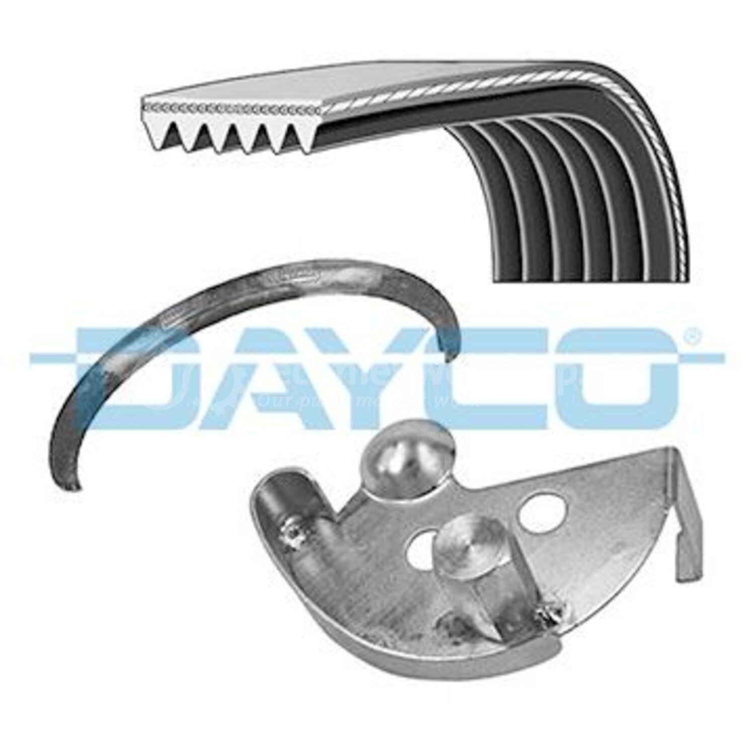 Dayco Poly V-riem set voor o.a. Ford, Mazda - PVE002, 8021787002874 ...