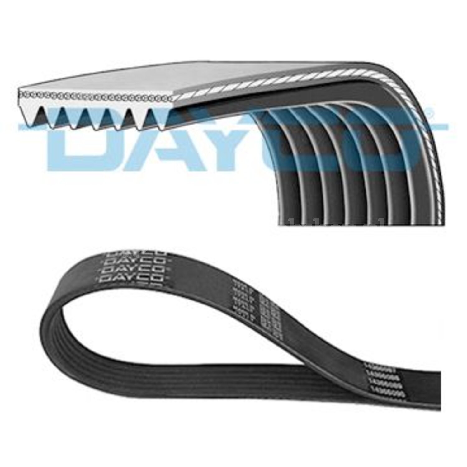Dayco Poly V-riem voor o.a. Iveco, Mercedes-Benz, Honda, Vw - 7PK1285 ...