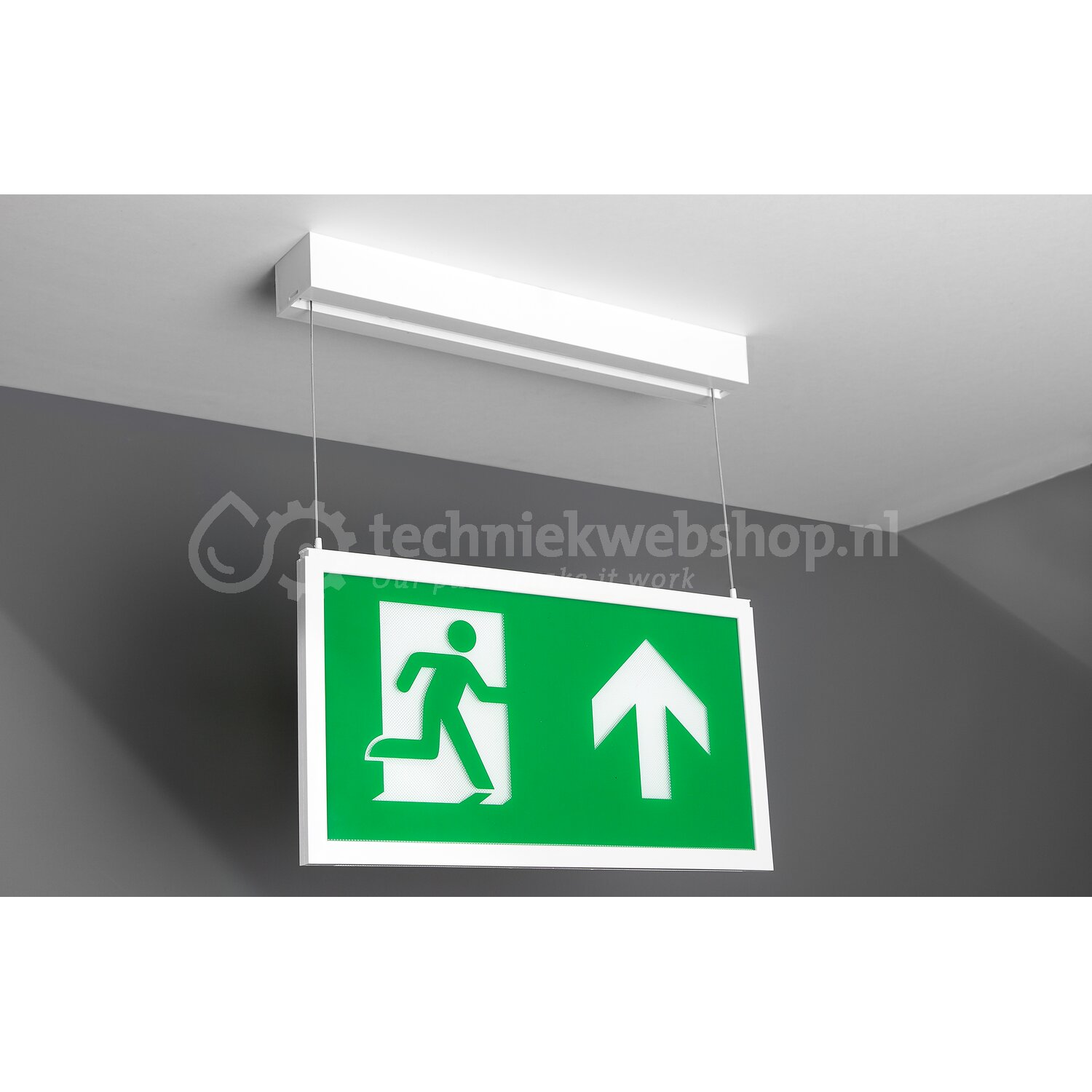 Normalux Ecolight Extraline - XSDID / LED 1h 100lm DALI (incl. picto ...