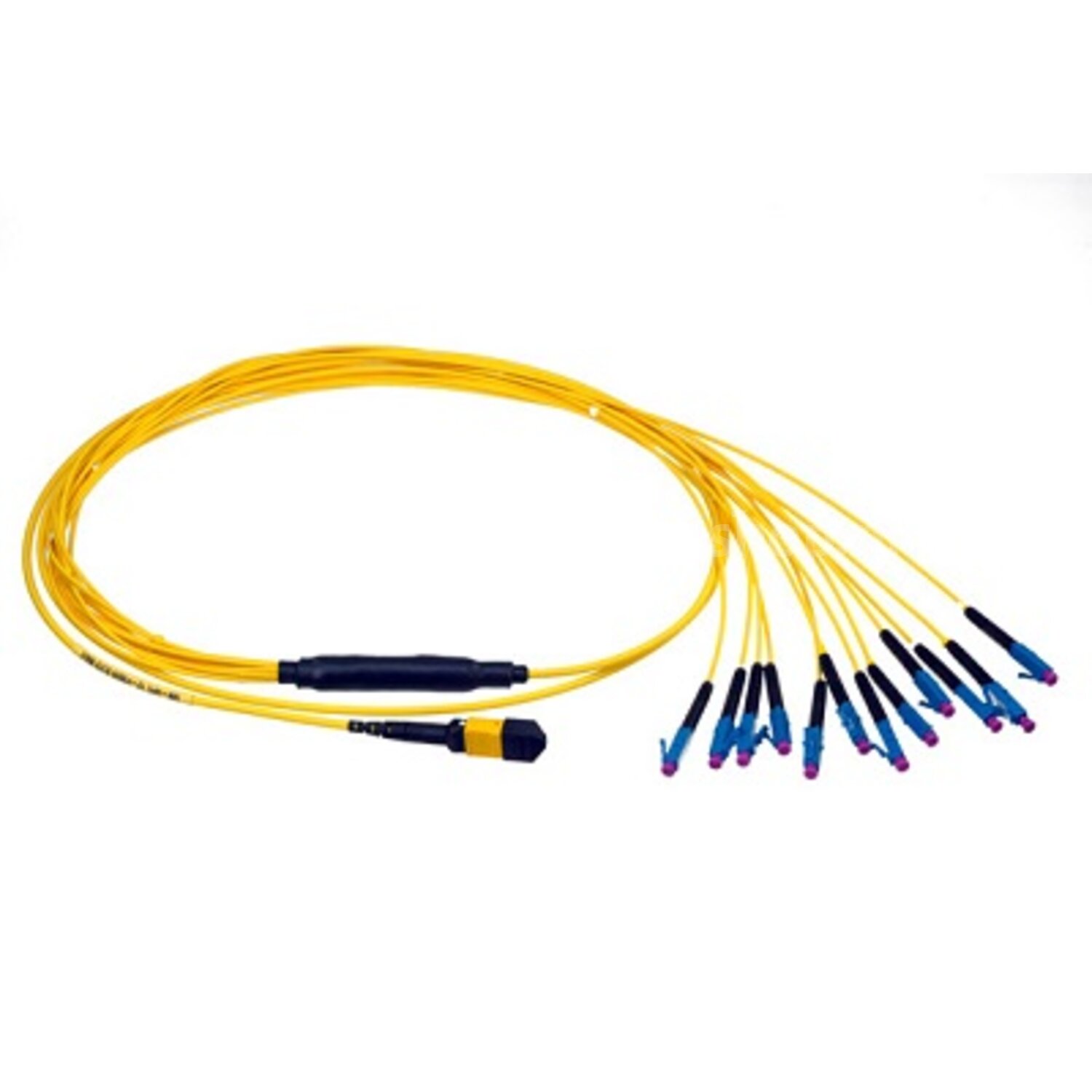 Neutrik opticalCON - MTP12 Breakout kabel / breakoutkabel MTP12 > 12xLC ...