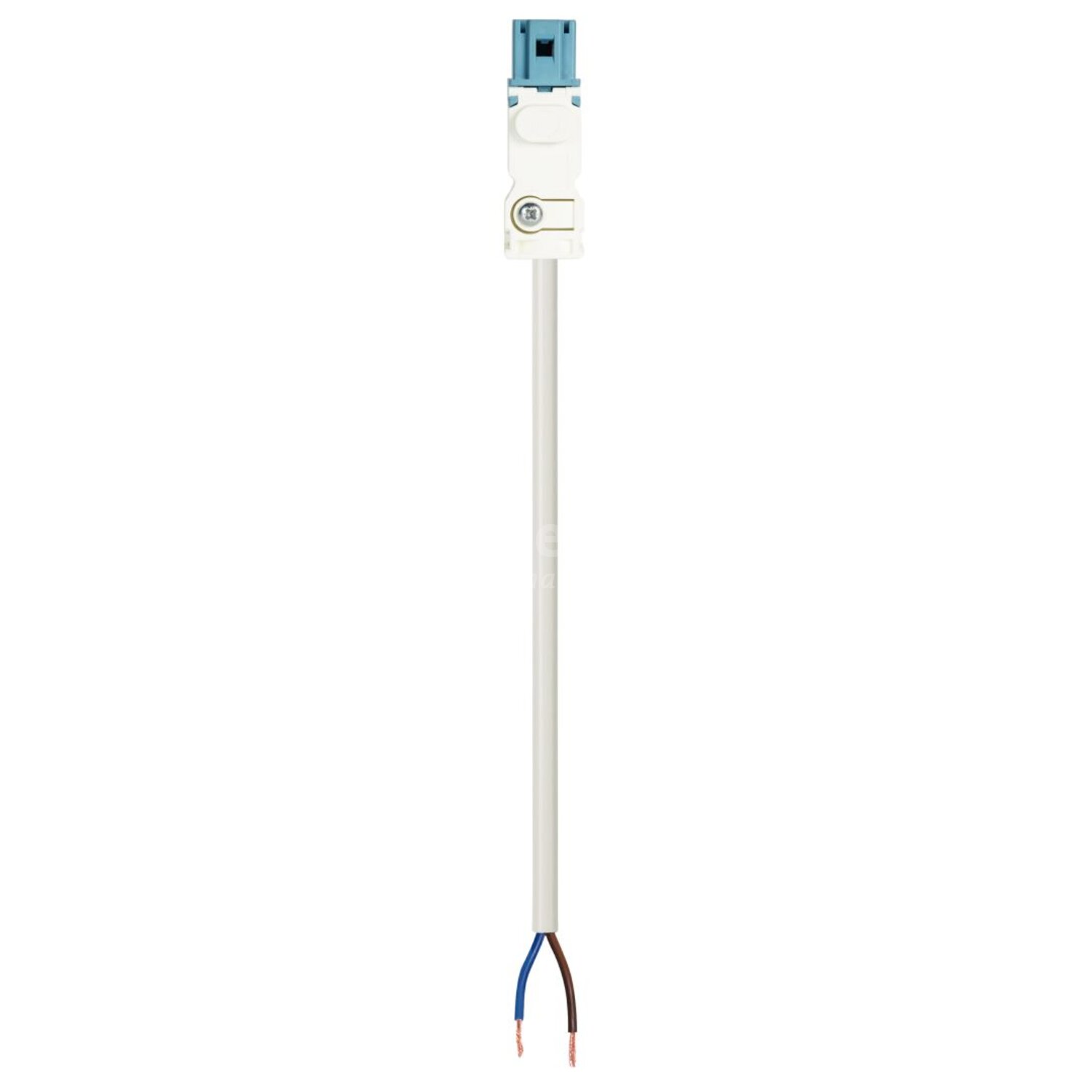 Wieland Electric GST15I2 - Eca PVC / AANSLUITSNOER MALE 1,5MM² 8 METER ...