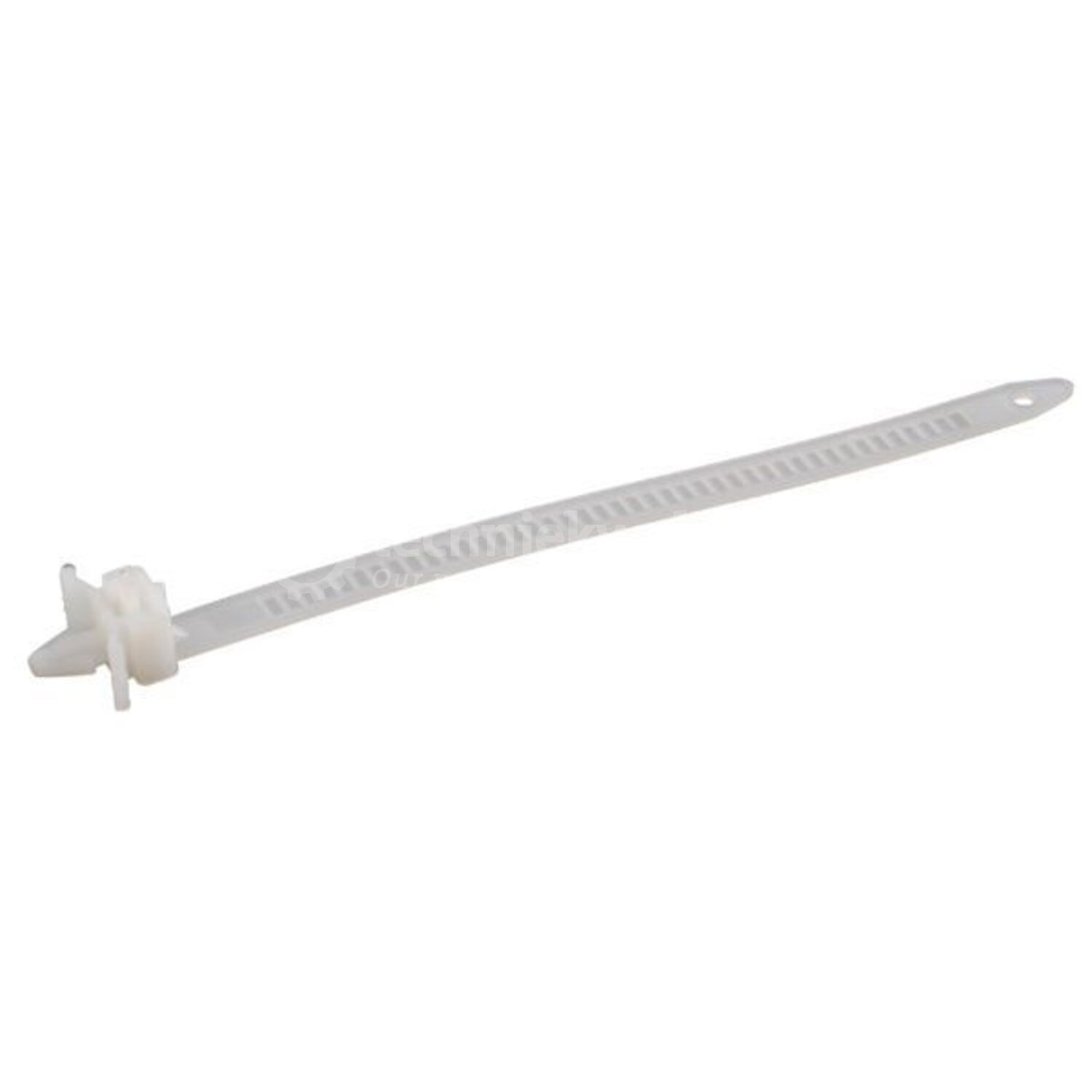Kabelbinder in Bevestigingsmateriaal / Kabelbinder - Techniekwebshop.nl